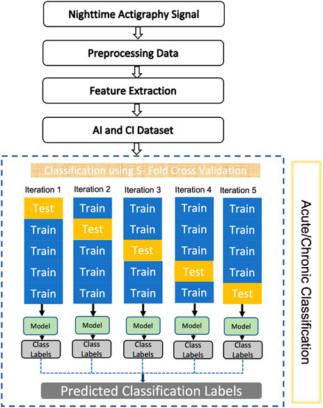 Differentiating acute from chronic insomnia with machine learning from actigraphy time series data